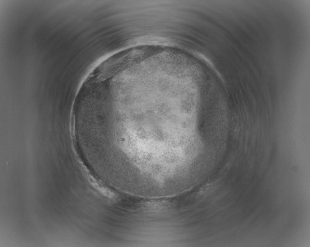 X0000054361125200508121507