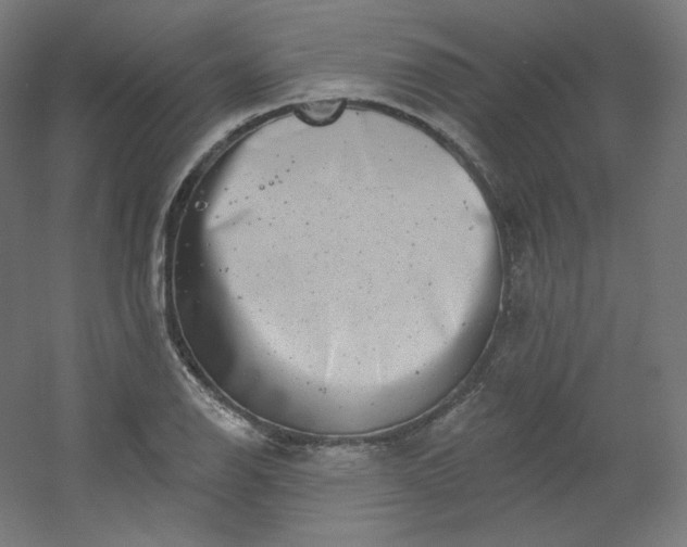X0000054361126200508121507