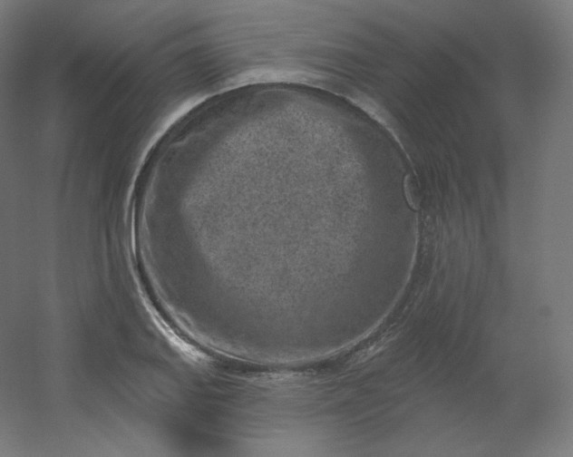 X0000054361127200508121507
