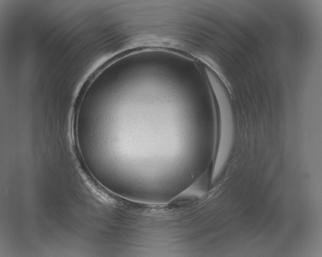 X0000054361128200508121507