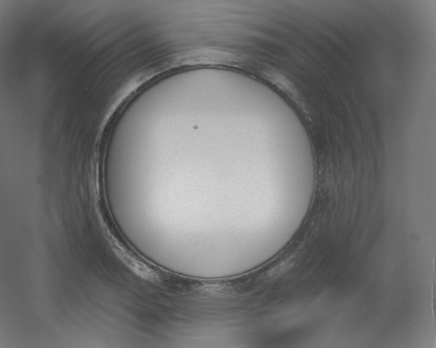 X0000054361130200508121507