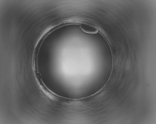 X0000054361131200508121507