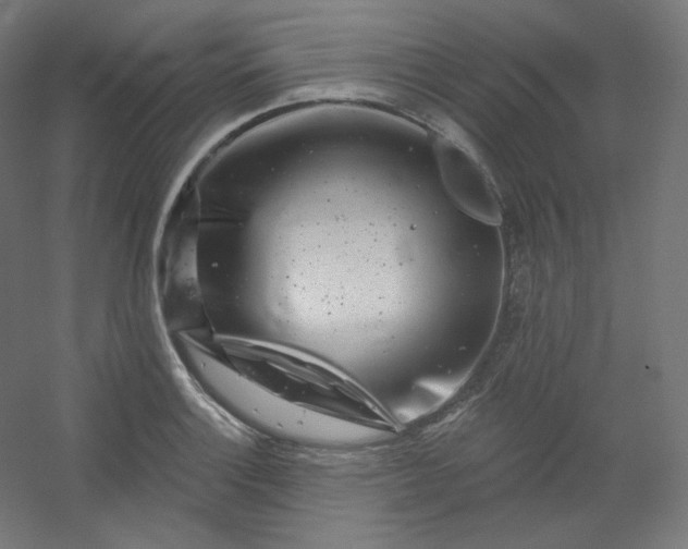 X0000054361132200508121507