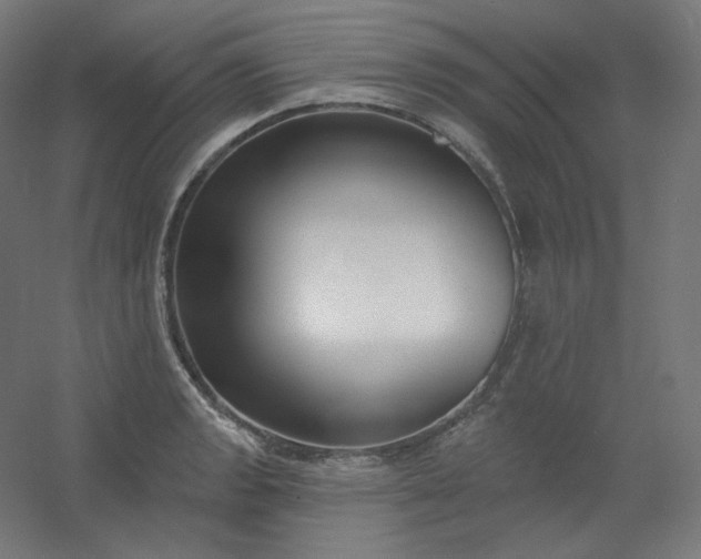 X0000054361133200508121507