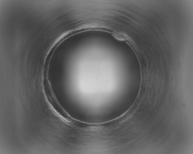 X0000054361134200508121507