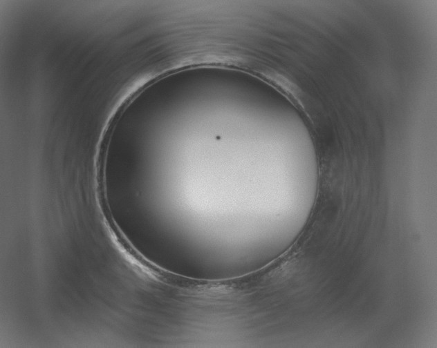 X0000054361135200508121507