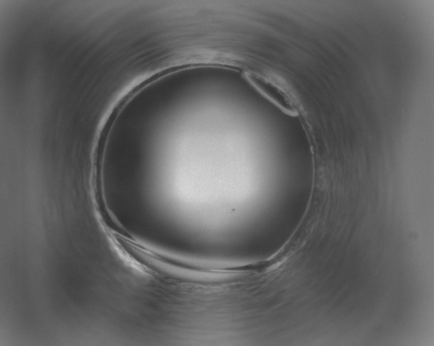 X0000054361136200508121507