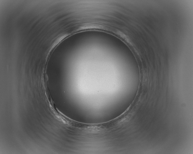 X0000054361137200508121507