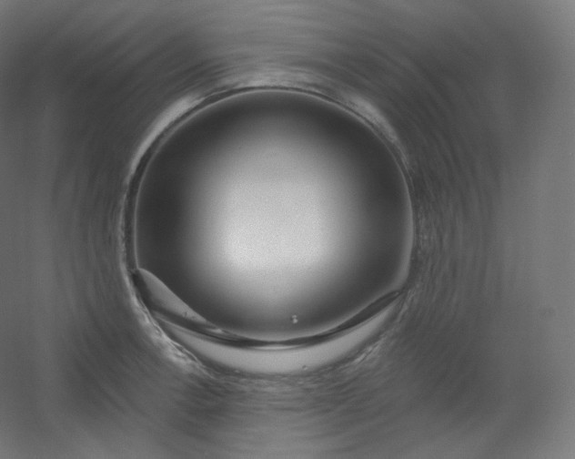 X0000054361138200508121507