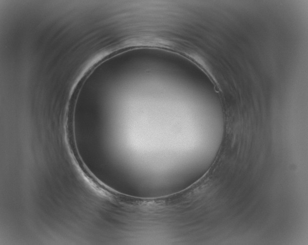 X0000054361139200508121507