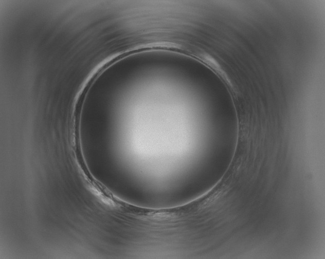 X0000054361140200508121507