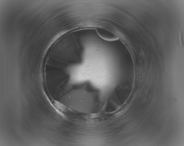 X0000054361141200508121507