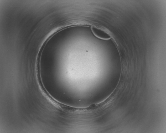 X0000054361142200508121507