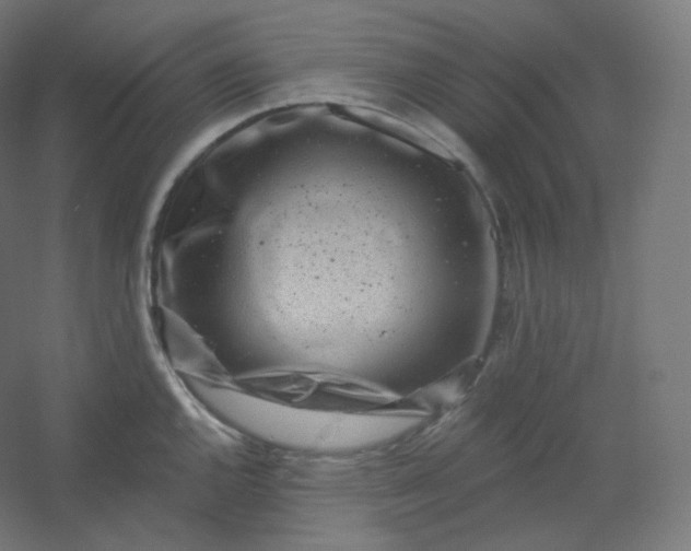X0000054361144200508121507