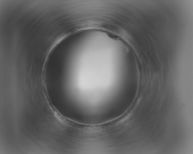 X0000054361145200508121507