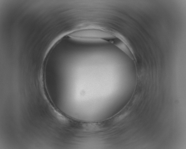 X0000054361149200508121507
