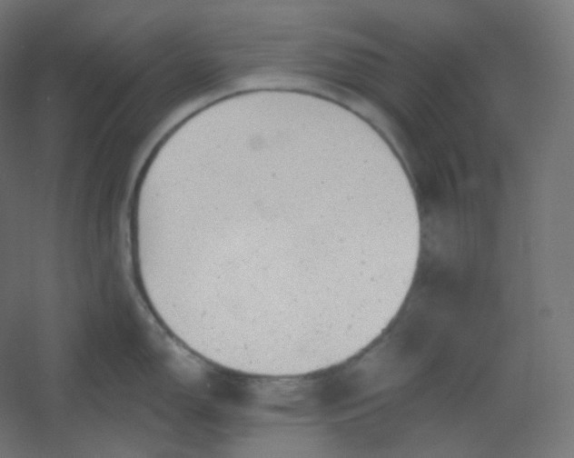 X0000054361150200508121507