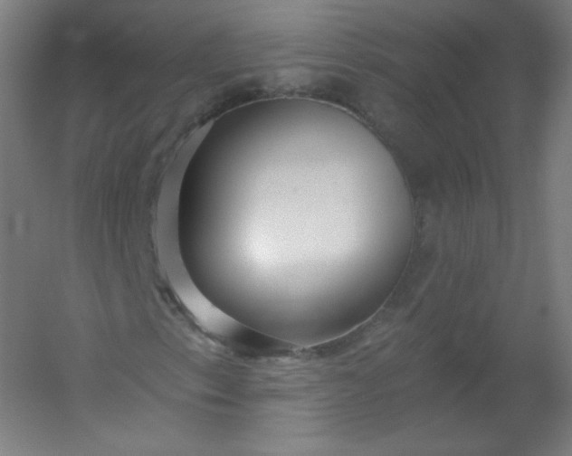 X0000054361153200508121506
