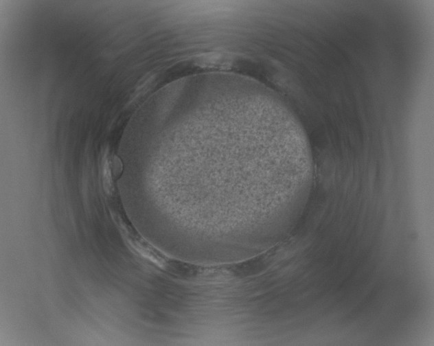 X0000054361154200508121506