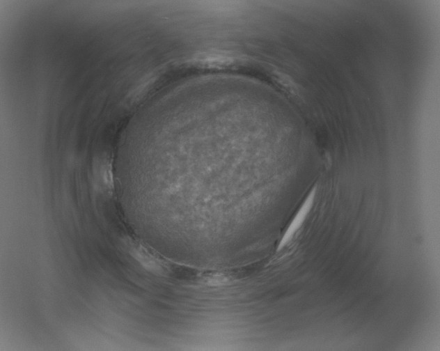 X0000054361155200508121506