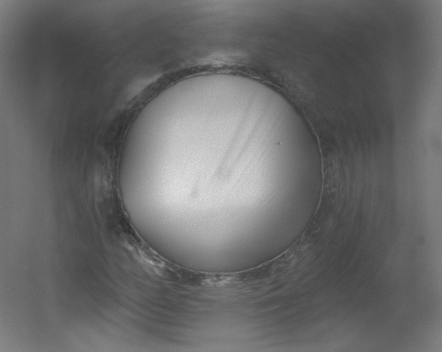 X0000054361158200508121506