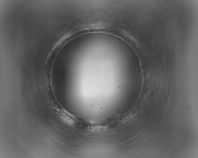 X0000054361160200508121506