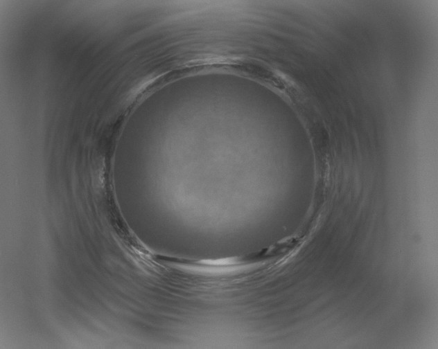 X0000054361161200508121506