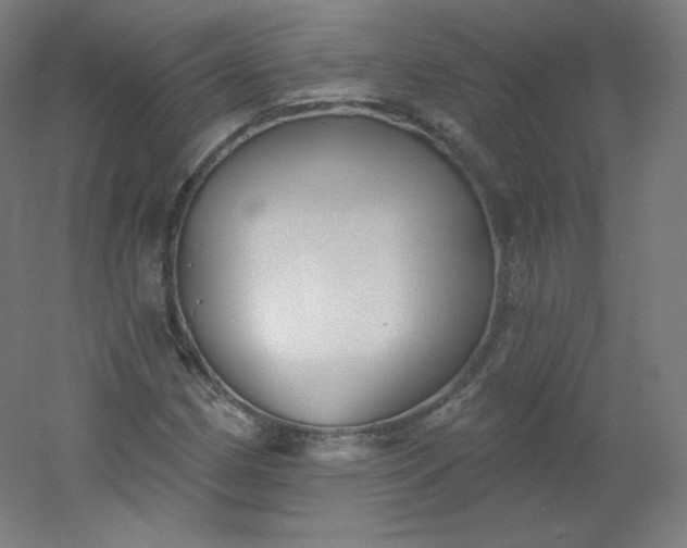 X0000054361162200508121506