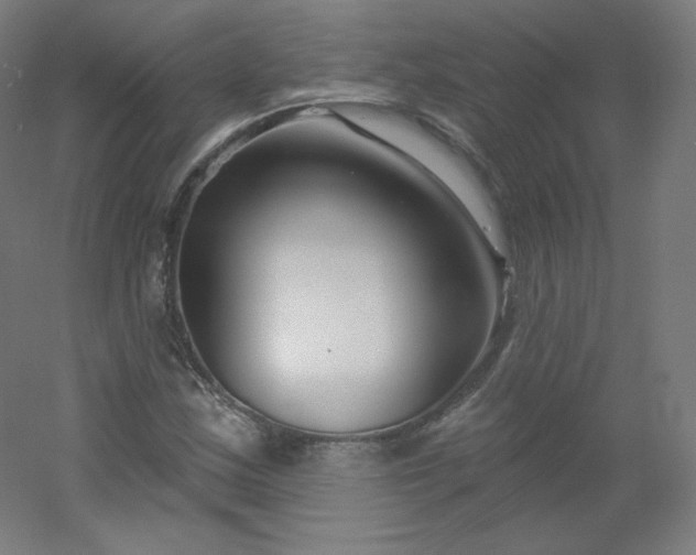 X0000054361163200508121506