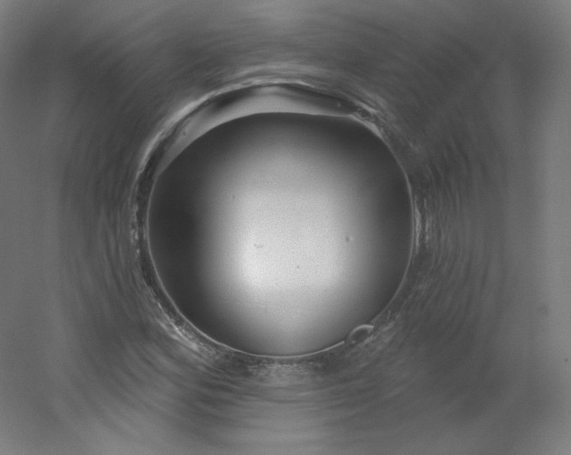 X0000054361164200508121506