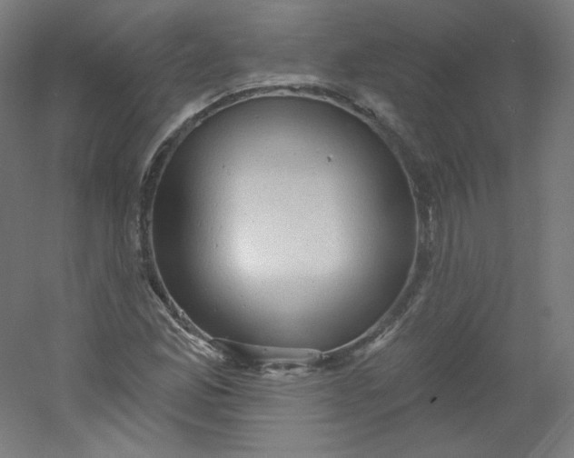 X0000054361165200508121506