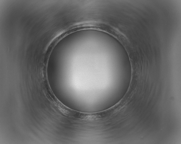 X0000054361166200508121506
