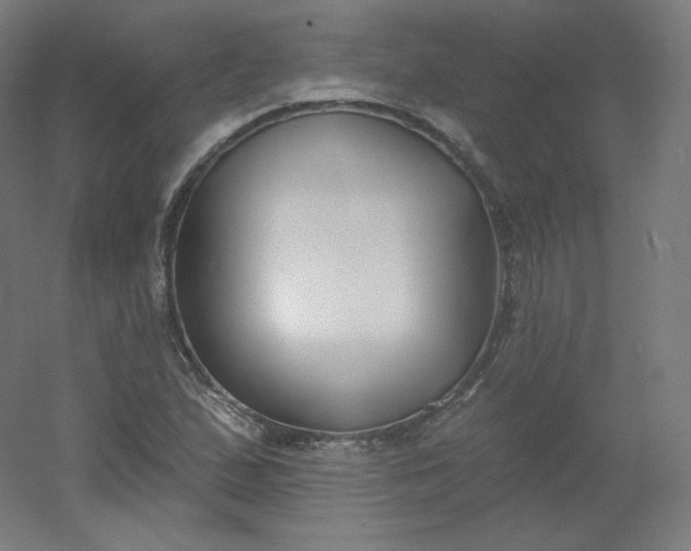 X0000054361167200508121506