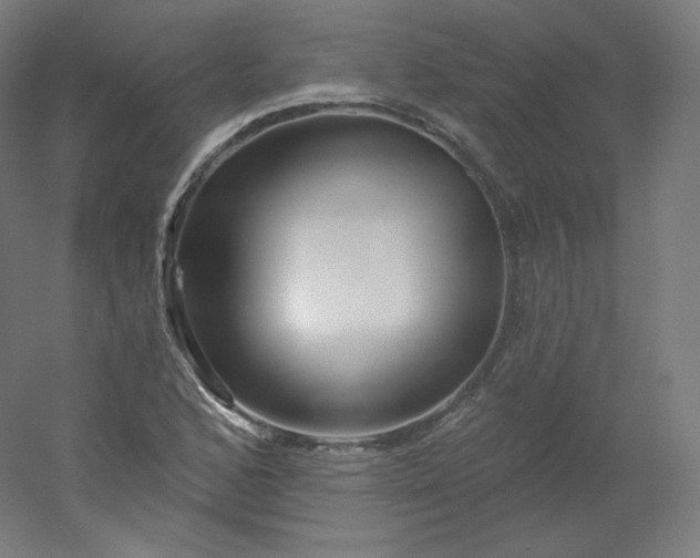 X0000054361168200508121506