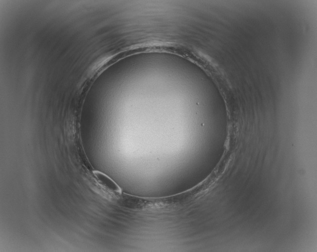 X0000054361169200508121506