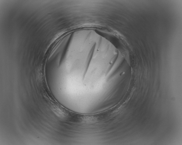 X0000054361170200508121506