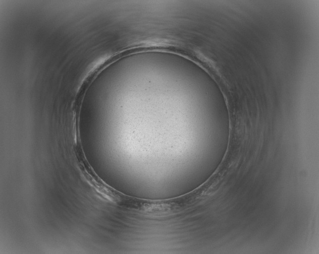 X0000054361171200508121506