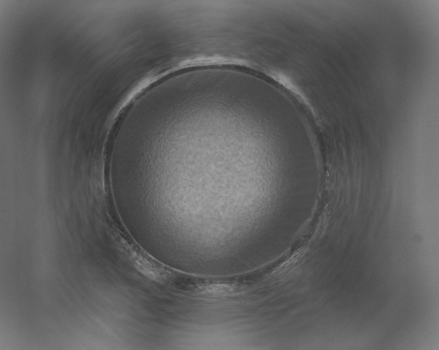X0000054361173200508121506