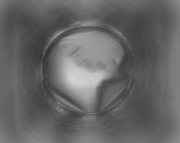 X0000054361174200508121506