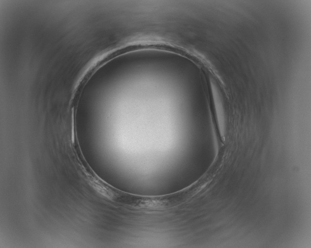 X0000054361175200508121506