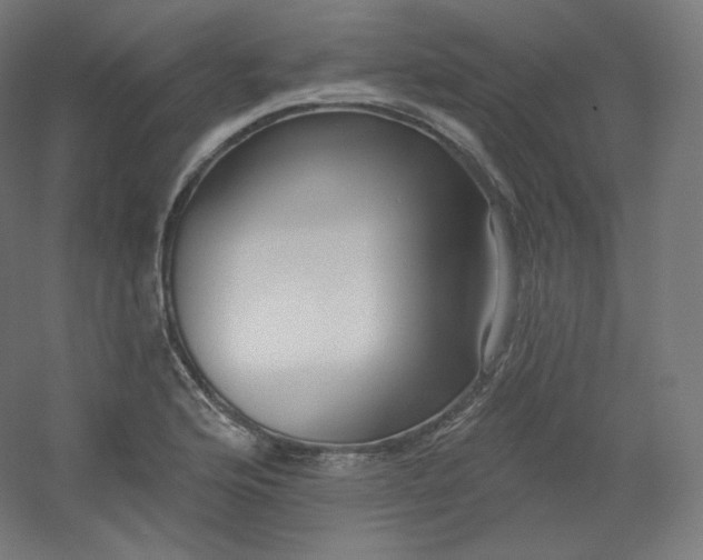 X0000054361176200508121506