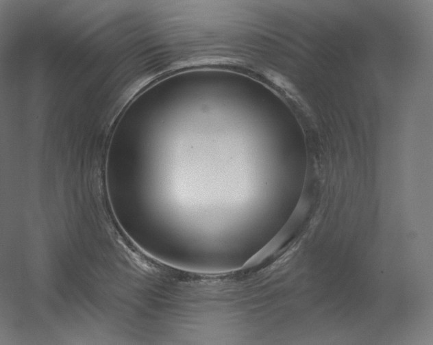 X0000054361177200508121506