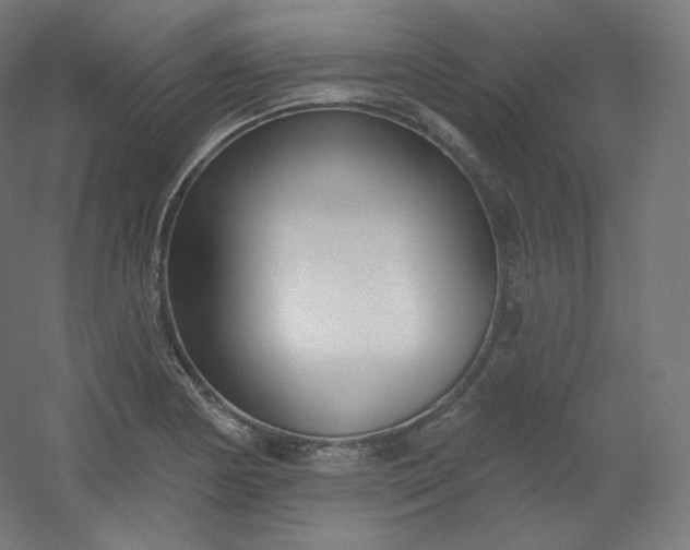X0000054361178200508121506