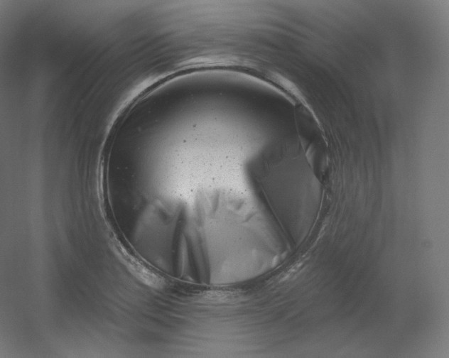 X0000054361179200508121506
