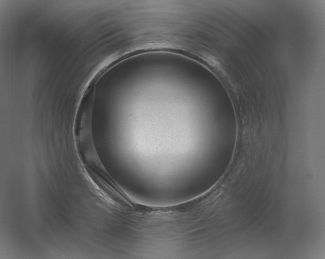 X0000054361181200508121506