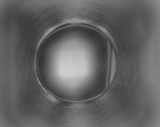 X0000054361183200508121506