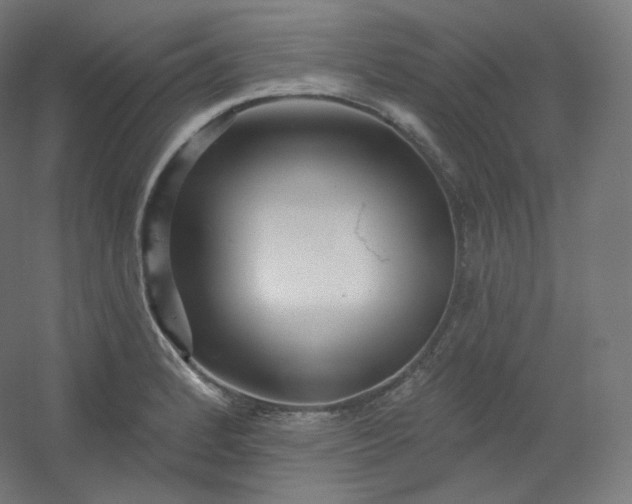 X0000054361184200508121506