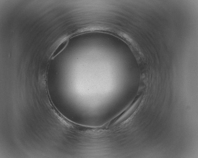 X0000054361185200508121506