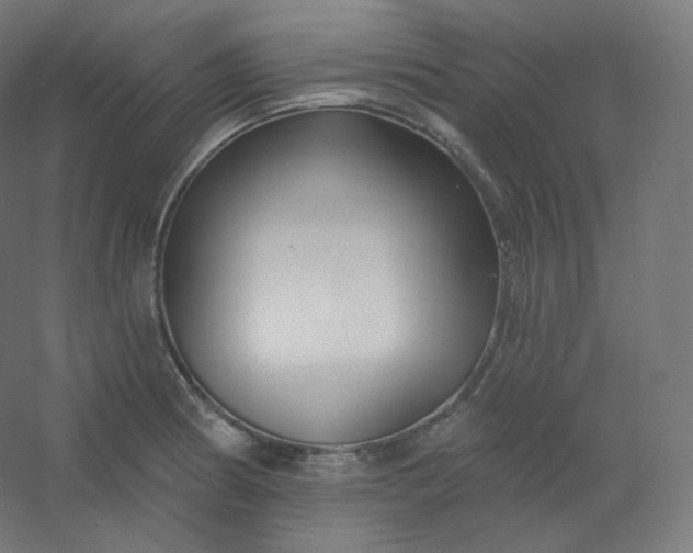 X0000054361186200508121506