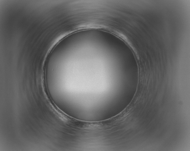 X0000054361187200508121506